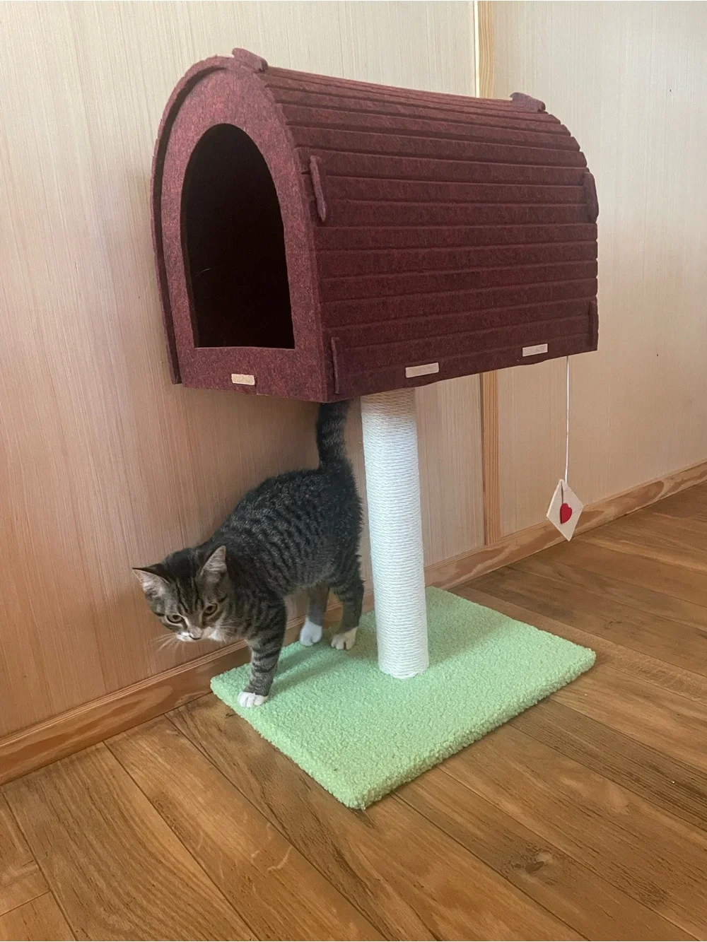 Mailbox Cat Scratcher - Green Base, Brown Mailbox